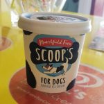 Doggy Ice cream