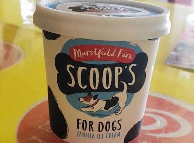 Doggy Ice cream